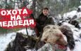 Атака двух медведей. Охота на медведя с лайками 2020